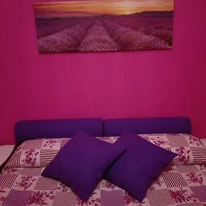  Appartamento La Casa Di Rosco